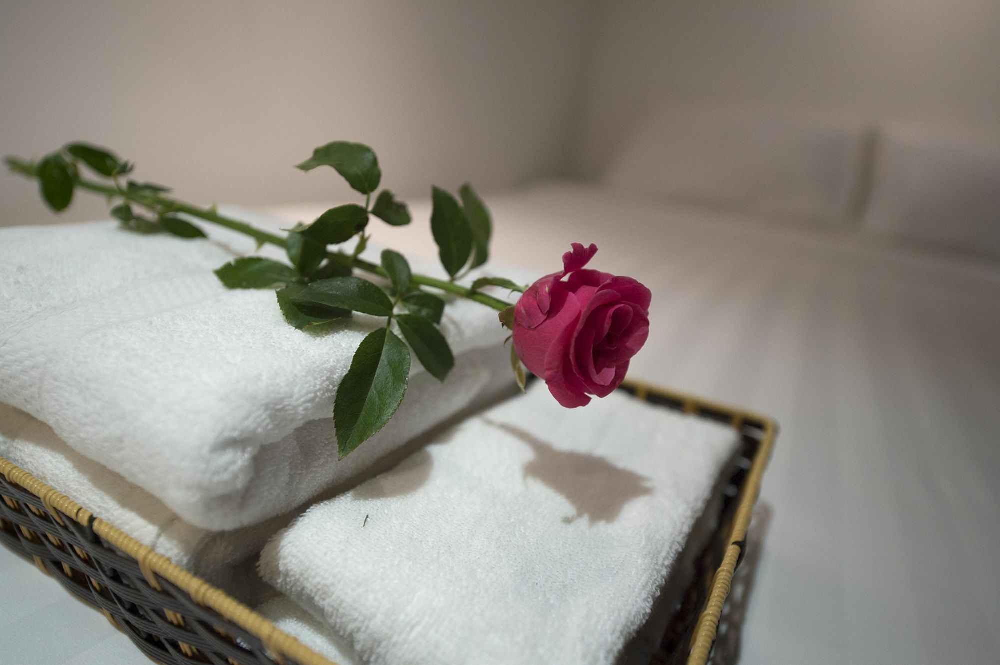 Harmony Homestay - Hanoi Homestay In Old Quarter 外观 照片