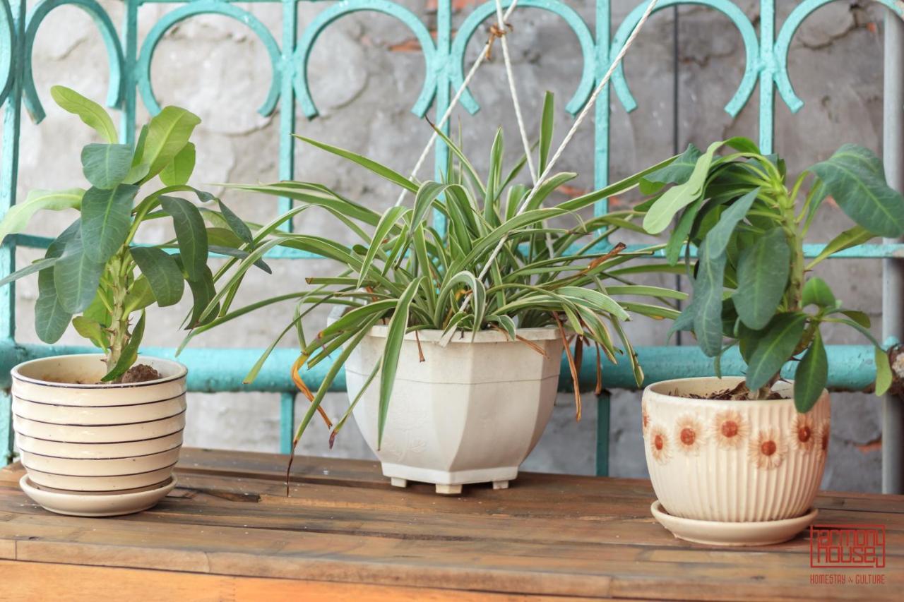Harmony Homestay - Hanoi Homestay In Old Quarter 外观 照片